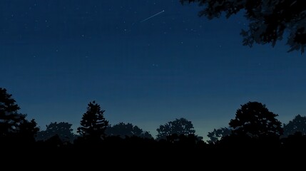 Fototapeta premium Silhouetted trees against a night sky dotted with stars.