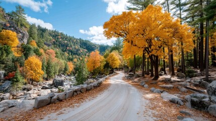 Exploring the Tranquil Beauty of a Vibrant Fall Landscape Amidst Golden Leaves on a Cozy Dirt Road