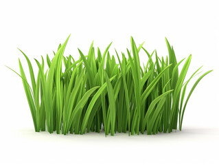 Lush Green Grass Clump on White Background