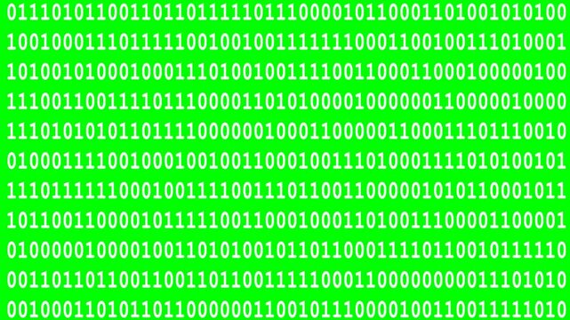 White running lines of computer binary code on isolated green screen, frontal view, chroma key, footage, mockup, loop