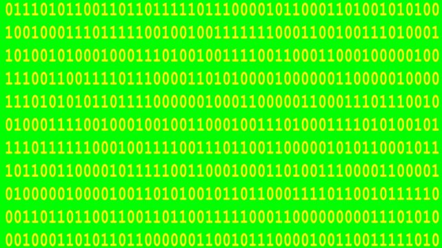 Yellow running lines of computer binary code on isolated green screen, frontal view, chroma key, footage, mockup, loop