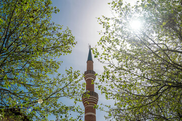 Tall mosque minaret rising through spring trees with sunlight above