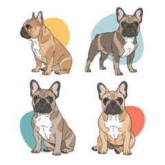 Charming french bulldog collection showcasing diverse poses and adorable companionship for pet lovers worldwide