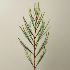 close up of green plant