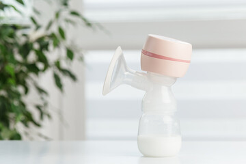 Electric breast pump with fresh milk indoors. Baby care