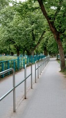 Serene walking path in a lush park urban setting nature photography peaceful atmosphere ground level tranquility
