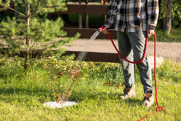 Watering garden trees, a man waters plants with a hose	