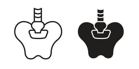 Pelvis icon set, line and black glyph style for food app website.