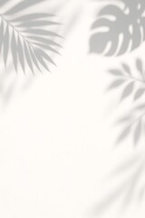 Shadows of tropical leaves creating a serene backdrop in a bright space