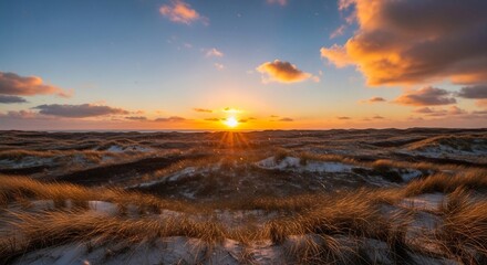 Fototapeta premium Sunset over a sandy landscape with dunes covered in dry grass, with a cloudy sky.