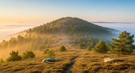 Sunrise over a misty hilltop, bathed in golden light, with a path winding through the landscape.