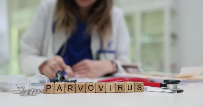 Wooden cubes display Parvovirus placed near pills and stethoscope. Woman virologist studies medicine plan managing virus infection threat slow motion