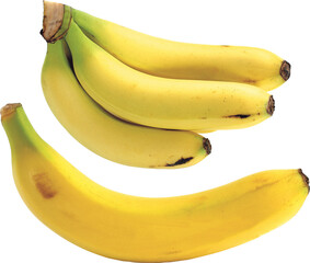 A bunch of ripe yellow bananas and a single ripe yellow banana healthy tropical fruit isolated on transparent background