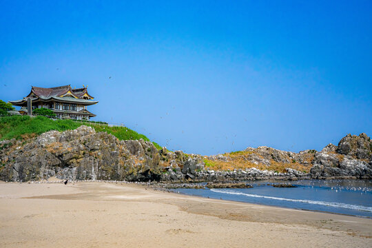 蕪島3