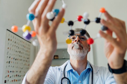 Doctor examining DNA molecule model in laboratory