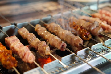 Grilled Skewers on Charcoal Grill