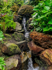 Waterfall in Greenhouse at L.A. County Arboretum, Jun 14 2025, 2 29 07 PM.jpg