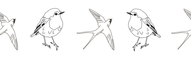 Border icon border. Bird feather silhouette symbol. Bird border isolated on white background