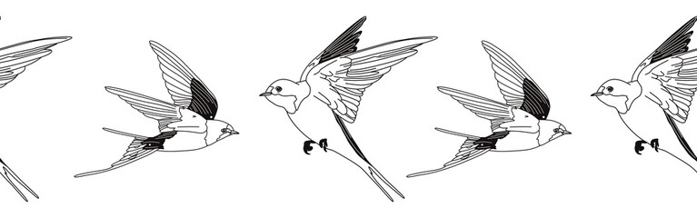 Border icon border. Bird feather silhouette symbol. Bird border isolated on white background