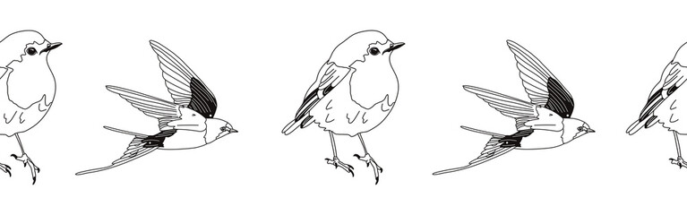 Border icon border. Bird feather silhouette symbol. Bird border isolated on white background