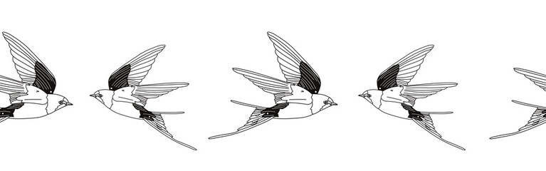 Border icon border. Bird feather silhouette symbol. Bird border isolated on white background