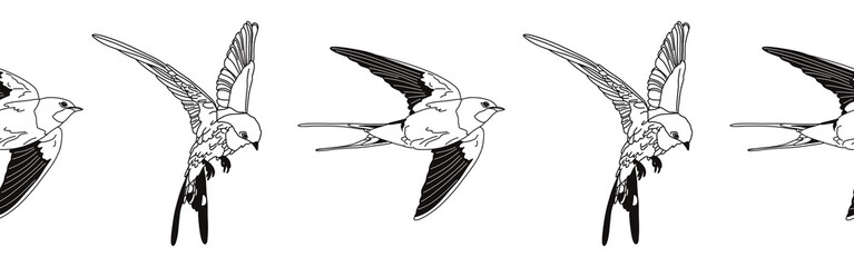 Border icon border. Bird feather silhouette symbol. Bird border isolated on white background