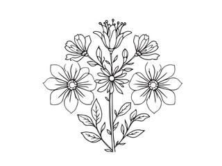 Everlasting Flower Simple Illustration
