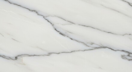 Elegantly Veined White Marble Background for Interior Design Projects