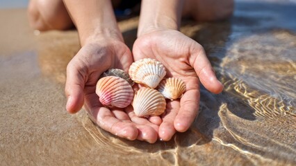 Kids Shell Collecting, Childhood Discovery, Beach Exploration, Simple Joys. Ideal for family activities, educational content, nature play