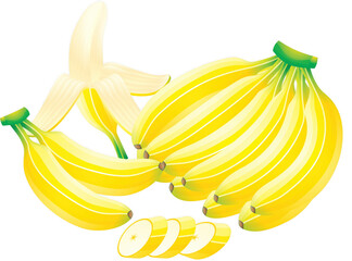 A bunch of ripe yellow bananas with one peeled and sliced banana in a realistic illustration isolated on transparent background