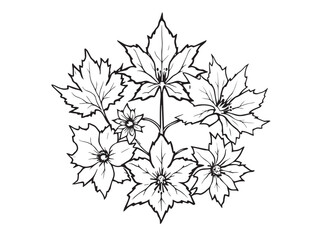 Flowering Maple clear vision simple line art