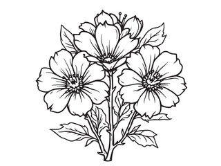 flowering quince simple line art clear vision