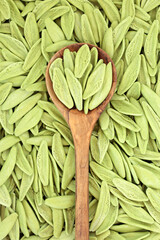 Foglie D'ulivo dried pasta background with wooden spoon. Italian olive leaf shape vegetarian carbohydrate food dyed green with spinach.