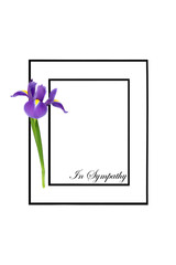 RIP celebration of life memorial card with purple iris flower on black frame on white. Minimal remembrance background design for funeral or order of service.