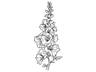 foxglove simple line art clear vision © Nazma Begum