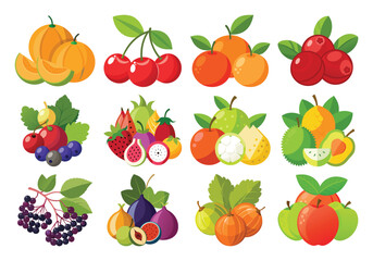 A Vector Vibrant Flat-Lay Illustration of Fresh Fruit Variety:  Cantaloupe, Cherries, Oranges, Cranberries, Berries, Tropical Fruits, Figs, and Apples. on white background 