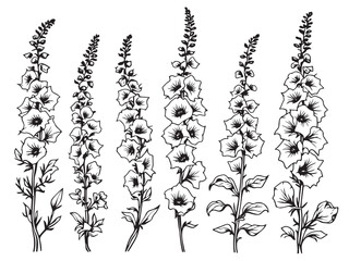 foxglove simple line art clear vision © Nazma Begum