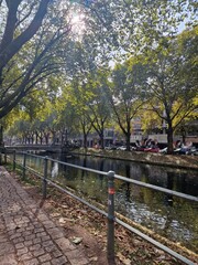 Fototapeta premium City river in the summer 
