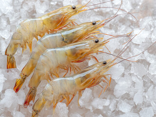 Fresh raw shrimp seafood on ice.