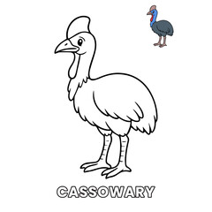 Obraz premium Cassowary Animal Children Coloring Pages