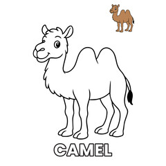 Camel Animal Children Coloring Pages