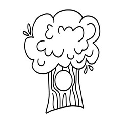 Hand-drawn cartoon tree illustration with bold trunk and leafy crown. Perfect for kids coloring books and nature-themed designs.  