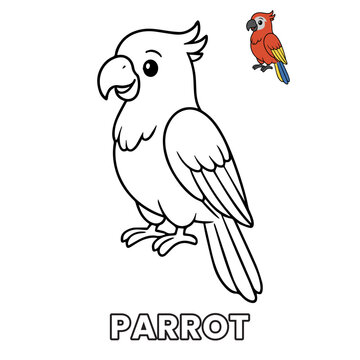 Cute Parrot Animal Children Coloring Pages