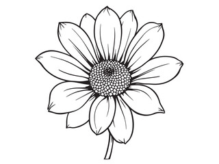 Gazania botanical line art floral vector bundle