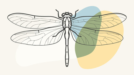 Intricate line art of a dragonfly against soft, colorful shapes.