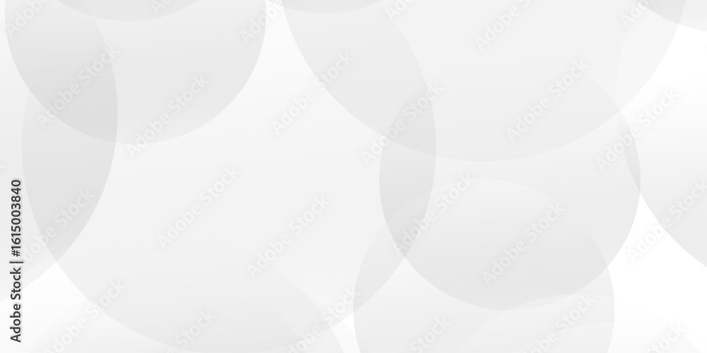 Poster luxury elegant white and grey background with circle. modern abstract light silver background vector
