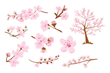 Set of blooming cherry blossom branches and tree with delicate pink flowers. Represents springtime, beauty, and fleeting nature of life