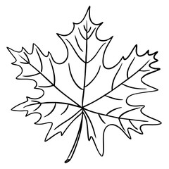 Outline of a maple leaf with detailed veins and pointed lobes. Represents autumn, nature, and seasonal change