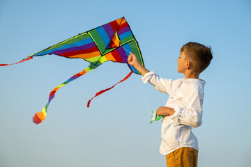 Colorful kite flying high over sea, pulled by young boy enjoying seaside day, natural elements in...