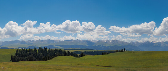 grassland and mountain panorama